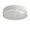 Robus Low Energy Emergency Flush Light
