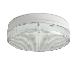 Robus Low Energy Emergency Flush Light