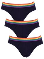 3 Pack Hip Briefs