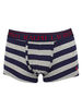 Polo Ralph Lauren Andover Heather/Cruise Navy Stripe Classic Trunks