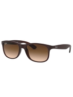 RB4202 Andy Sunglasses