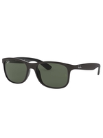 RB4202 Andy Sunglasses