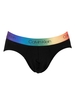 The Pride Edit Hip Briefs