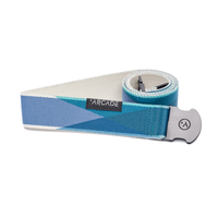 Arcade Belts 2017 Aspect Blue Gradient