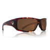 Dragon Cinch Sunglasses 2014 in Tortoise - Bronze Lens