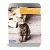 Adopt a Cat