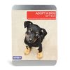 Adopt a Dog