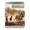 Adopt a Horse