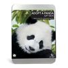 Adopt a Panda
