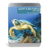 Adopt a Sea Turtle