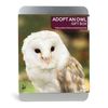Adopt an Owl