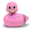 AMFM Floating Duck Radio