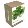 Grow Your Own Herbs