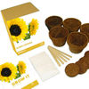 Grow Your Own Sunflower