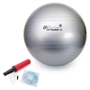 Gym Ball 65cm with Pump and DVD