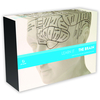 Master The Art Of Training Your Brain