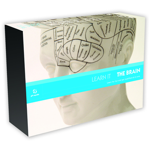 Master The Art Of Training Your Brain