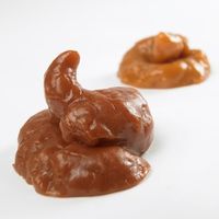 Sticky Turds