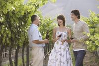 Vineyard Tour and Tasting for Two Experience