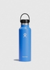 Hydro Flask Standard Mouth 21oz (621ml) - Cascade