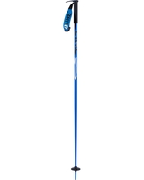 Line Pin Ski Poles