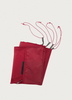 MSR Universal 4 Large Footprint - Red