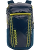 Patagonia Black Hole 32L Backpack