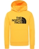 The North Face Drew Peak Kids