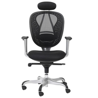Blintz Mesh Home And Office Chair In Black Finish