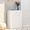 cadao wooden shoe storage cabinet with 2 doors in white