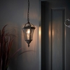 drayton clear glass shade pendant light in matt black