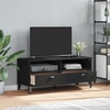 harlow wooden tv stand with 2 drawers in black
