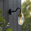 mayetta clear glass shade outdoor wall light in black and gold