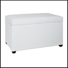 Miguel Contemporary White Finish Trunk Bench With Storage