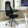 Perris Swivel Home And Office Chair With Headrest In Black