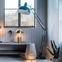 Watson Floor Lamp In Teal Finish