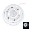 Infrared Sensor Light Human Body Induction Nightlight White