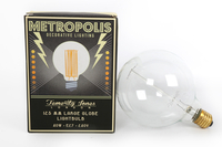40W Globe Light Bulb