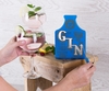 GINOMETER
