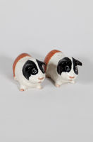 Guinea Pig Salt And Pepper Shakers
