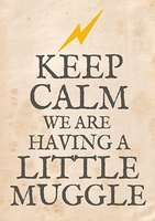 Keep Calm Having A Muggle Baby Announcement Card - A6 - By Funky Pigeon