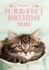 Kitten Purr-fect Birthday Birthday Card - Giant - By Funky Pigeon