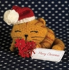 Knitted Cat Christmas Card - Large Square - By Funky Pigeon
