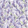 Lavender Greeting Card - Large Square - By Funky Pigeon
