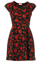 Louche Lillie Rose Dress