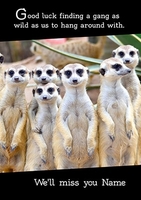 Meerkat Leaving Card - Good Luck Finding a Gang Like Us - Personalised - A6 - By Funky Pigeon