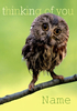 Owl Thinking Of You Card - Personalised - Large (A4) - By Funky Pigeon