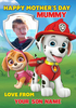 Paw Patrol Mother