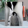 Penguin Notebook [A6]