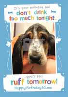 Pick of the Litter - Feeling Ruff - A5 - By Funky Pigeon